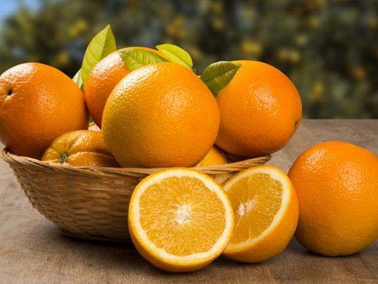 Valor de las exportaciones de naranjas cayeron 27% de abril a noviembre del 2021