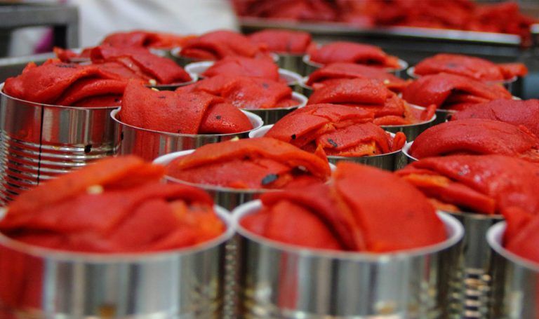 Valor exportado de pimiento en conserva cayó más de 50% en noviembre de este año