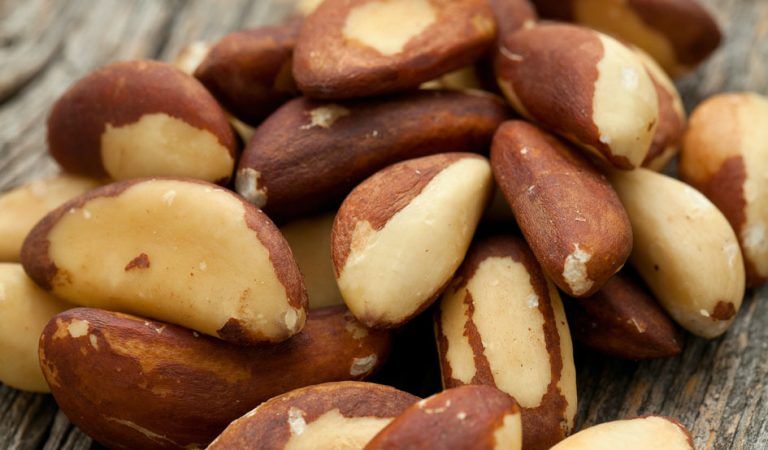Perú cerró 2021 con importante incremento en valor de exportaciones de nueces de Brasil
