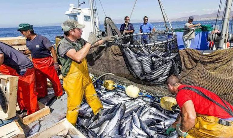 La cuota de jurel otorgada a Perú para su captura en la zona OROP fue subastada y entregada a Chile