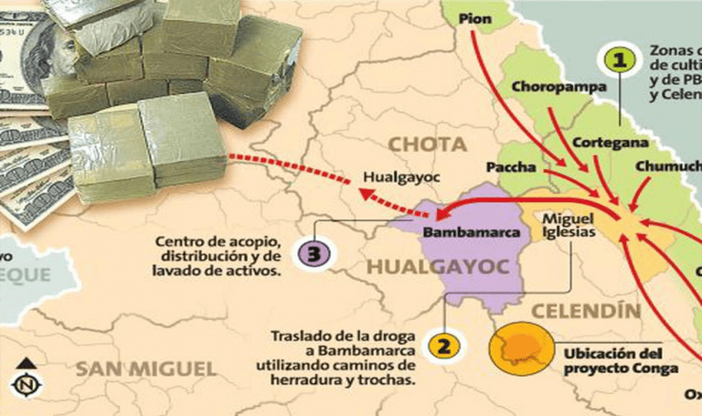 COCA, AMAPOLA Y LAVADO DE DINERO