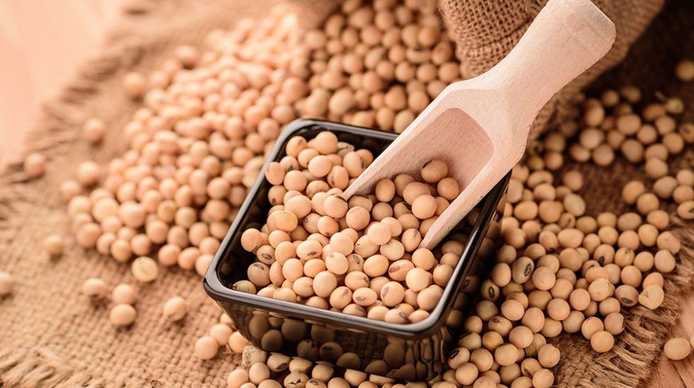 Producción mundial de soya crecería 13% en la campaña 2022-2023