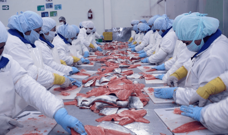 Exportaciones pesca y salvaguardas