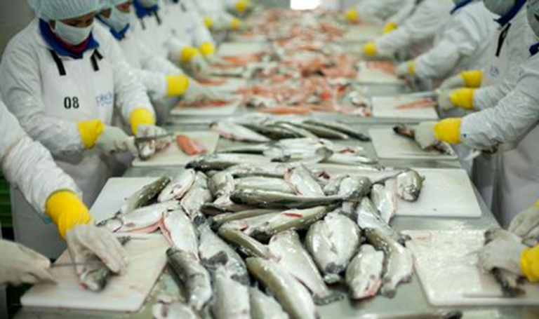 Empresas pesqueras evalúan paralización de labores ante crisis del sector