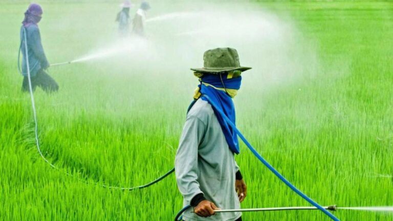 China representa el 68% de las importaciones peruanas de herbicidas