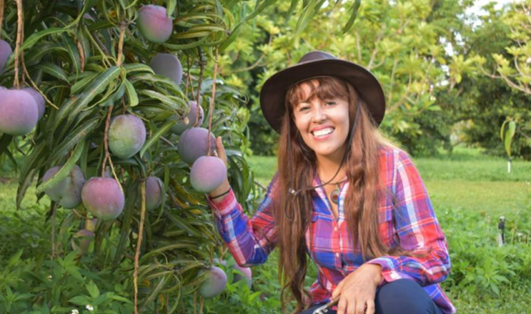 Mango Kent peruano tiene alta reputación en EE.UU. y Europa