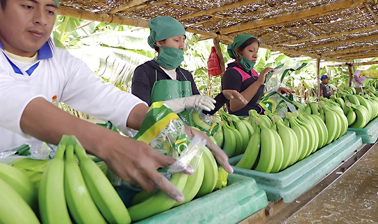 Exportadores generan negocios por US$ 3 millones en feria asiática Seoul Food & Hotel 2022