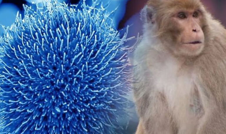 Viruela del Mono: Perú nuevamente al final de la cola de la compra de vacunas.