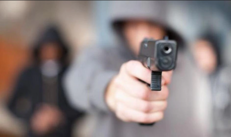 La evidencia empírica de los impactos de la inseguridad ciudadana sobre la economía