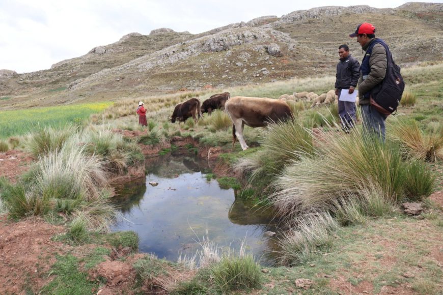 Sequía amenaza más de la mitad de la superficie agrícola del Perú