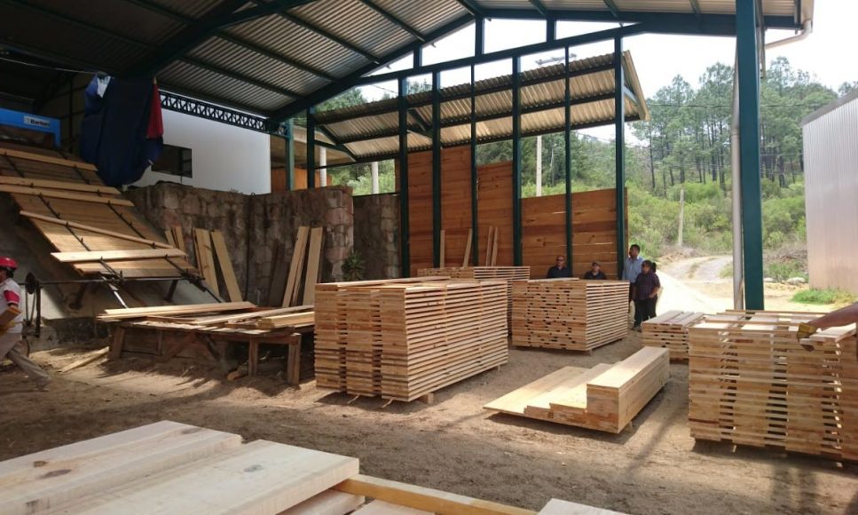 Mercado mundial de la madera presenta importante impulso en 2023