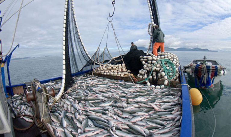 Recordando la crisis de la merluza