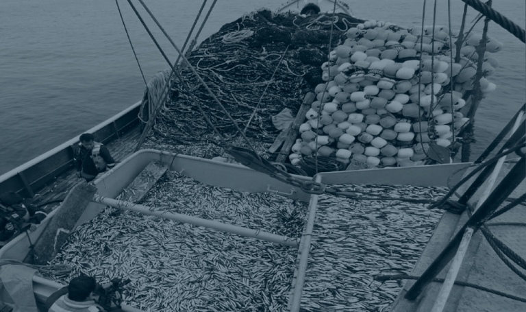 Los intereses extranjeros contra los intereses pesqueros peruanos