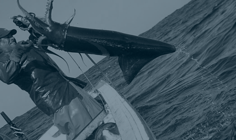 El sistema de control satelital y la pesca artesanal en el Perú