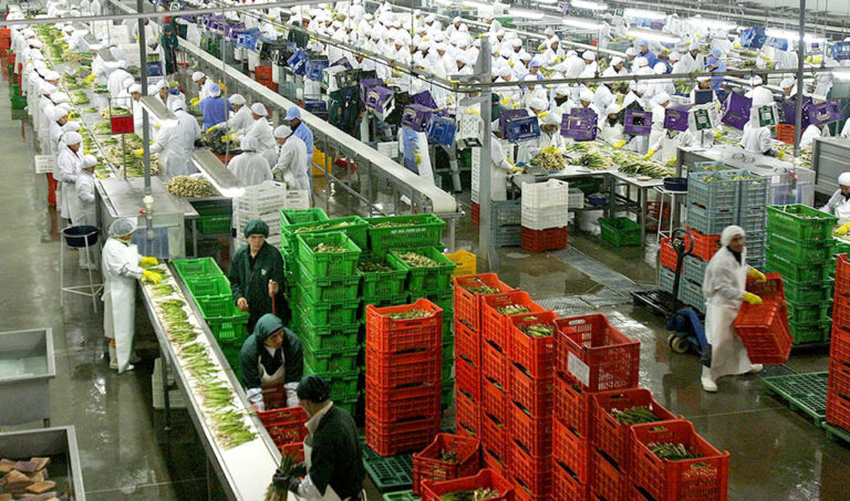 Agroexportaciones crecieron más de 13% en mayo