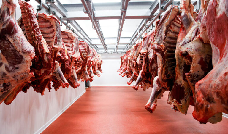 Perú buscará exportar carne a los mercados de China y Singapur