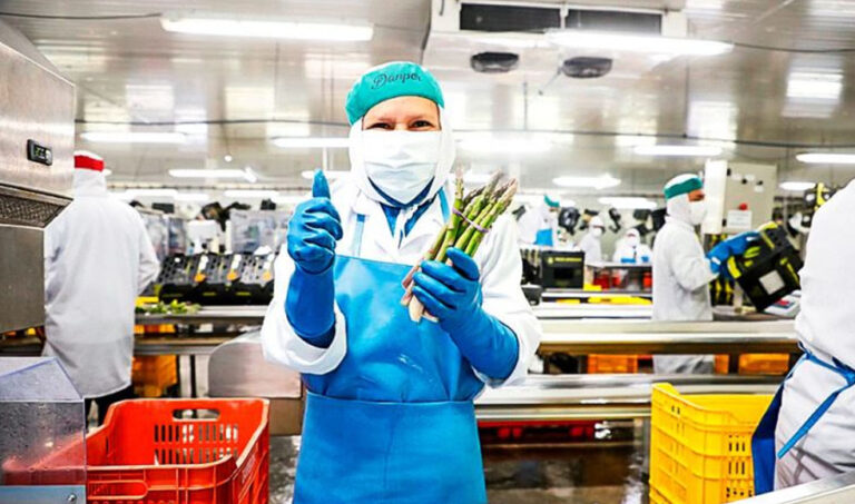 Exportaciones regionales crecieron 4,8% en el primer trimestre