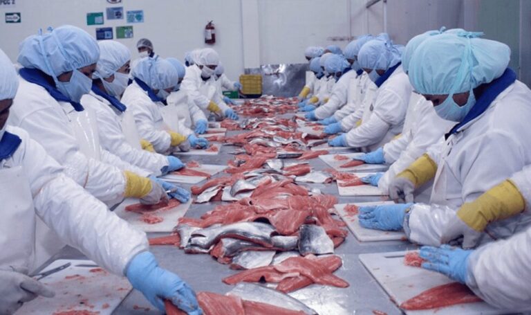 DERECHOS DE PESCA, EXPORTACIONES Y HARINA DE PESCADO