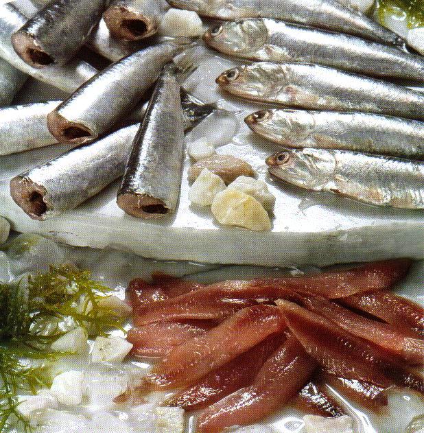 ANCHOVETA PARA HARINA Y PARA CONSUMO HUMANO