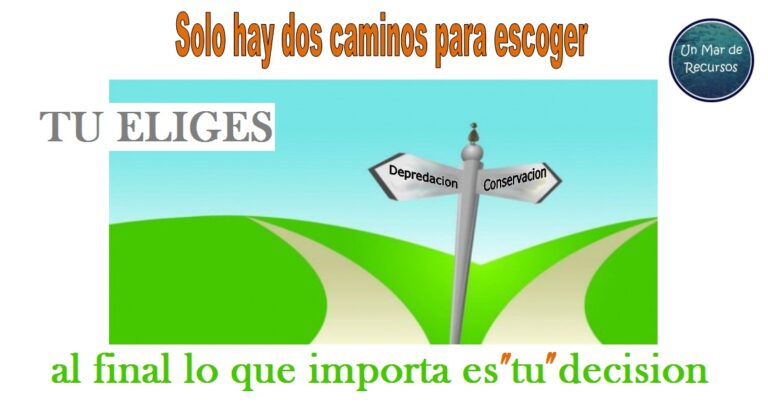 SE CUMPLIO CON PUBLICAR EL ROF DEL IMARPE