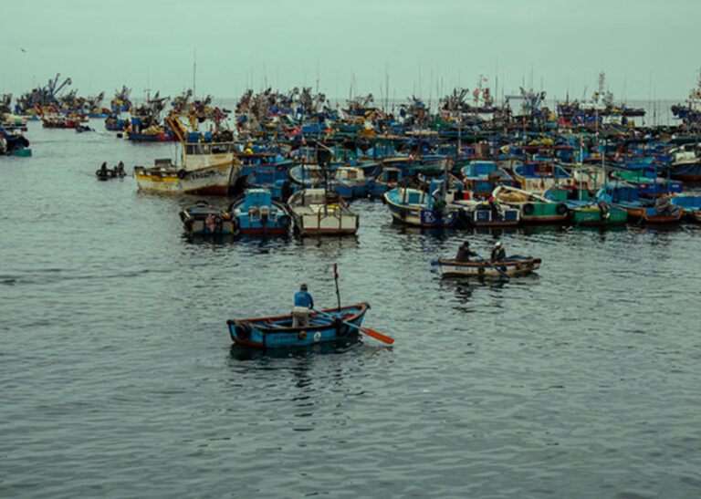 LOS PECES, LA FLOTA PESQUERA, LA POTA Y EL ESTADO