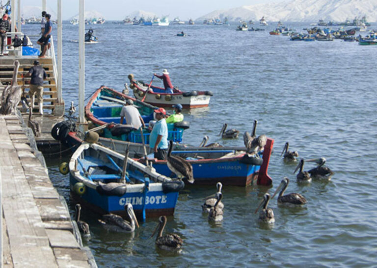 LAS POLITICAS DE PESCA, ACUICULTURA Y MARITIMA